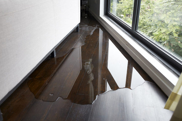 Common Mistakes to Avoid After Flood Damage & How a Restoration Company Can Help 4