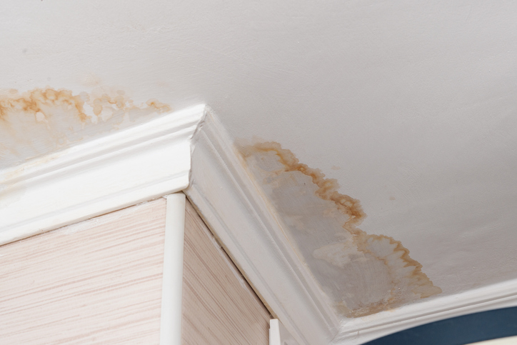 Common Mistakes to Avoid After Flood Damage & How a Restoration Company Can Help 5