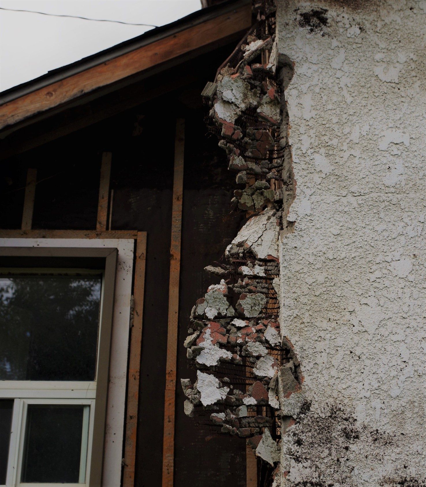 asbestos and mould removal residential